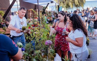 Lago Ranco vivira en Febrero la XV Feria Ranco Diseño, un imperdible del Sur de Chile